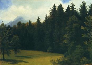 Albert Bierstadt : Mountain Resort